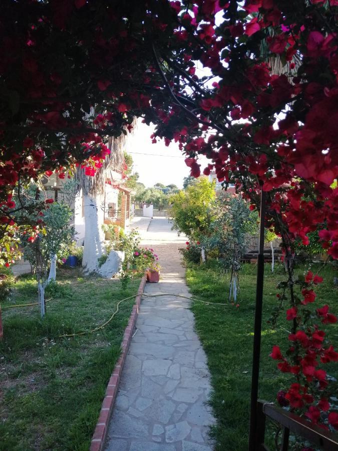 Armonia Studios Άγιος Γεώργιος Εξωτερικό φωτογραφία